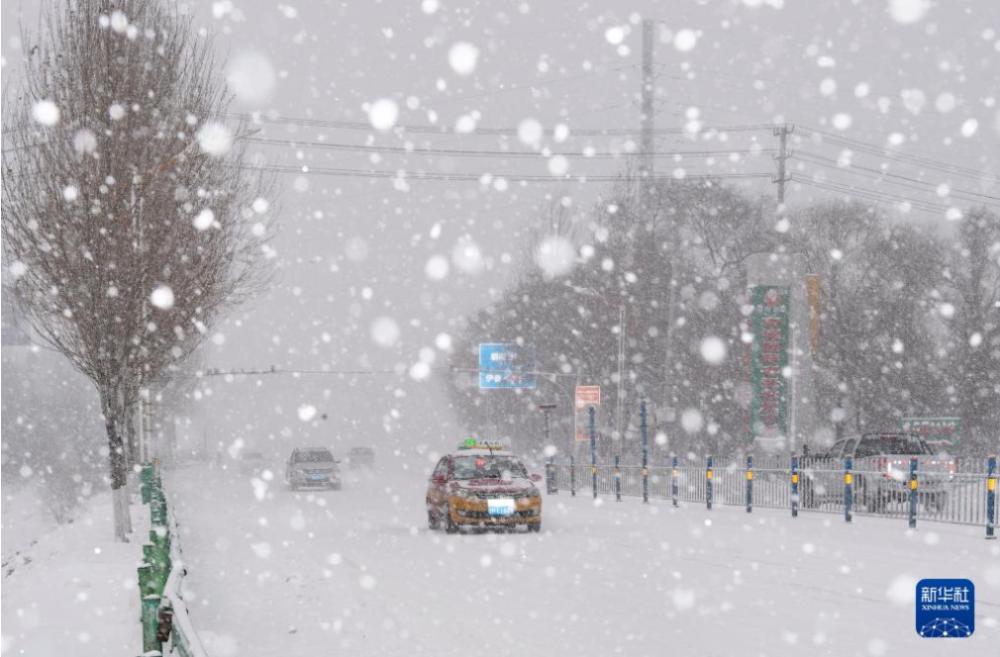 鹤岗破纪录暴雪中的公交温情与坚韧战斗