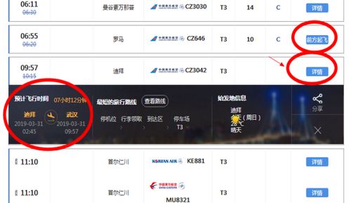 国际航班信息查询指南