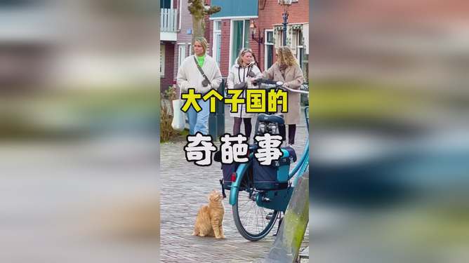 深度解析，旅游推荐官的真实可靠性探究