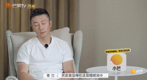 深度解析再见爱人，触动人心的作品评价