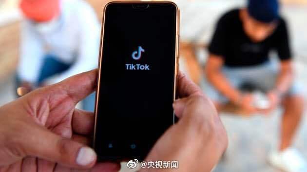 TikTok面临法律挑战与机遇，寻求临时禁制令以探索数字平台未来之路