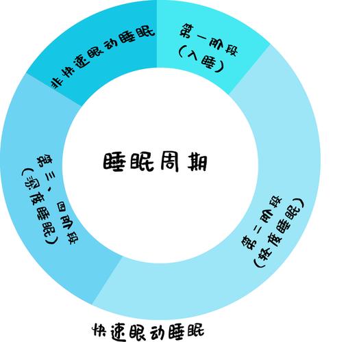 深睡眠时长并非越长越好，探究睡眠质量的真相