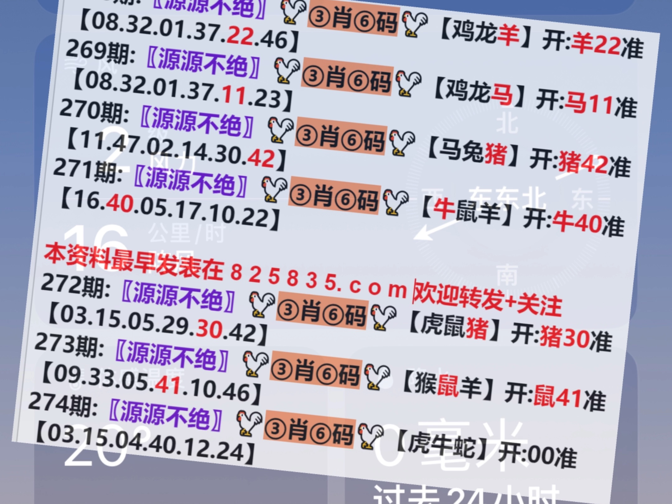 22324濠江论坛一肖一码,快速方案执行_VIP41.390