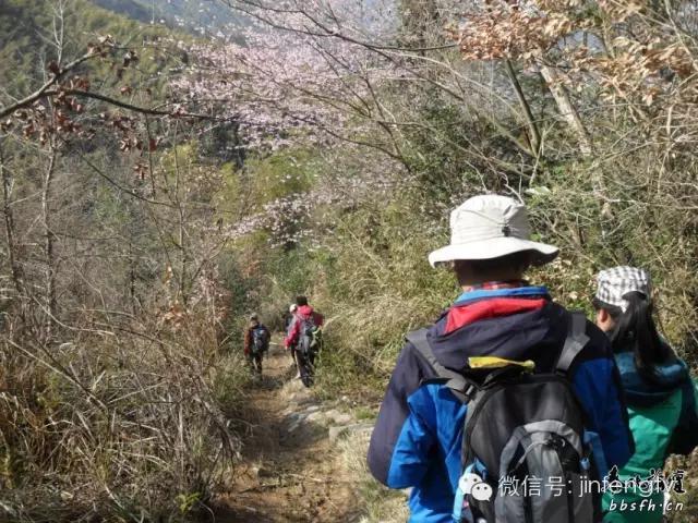 西部自驾游地图电子版，探索神秘之地的必备导航工具