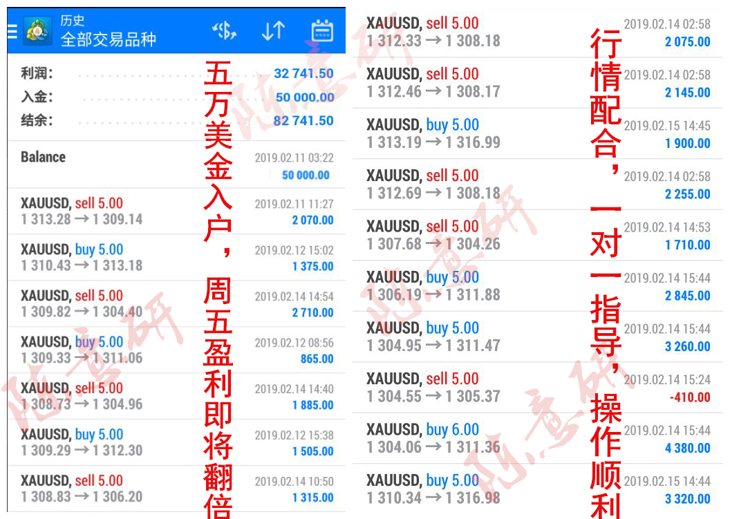 新澳门精准四肖期期中特公开,最新热门解答落实_黄金版15.719