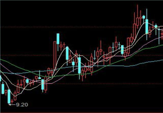 2024新澳门天天彩期期精准,数据驱动方案实施_静态版39.850