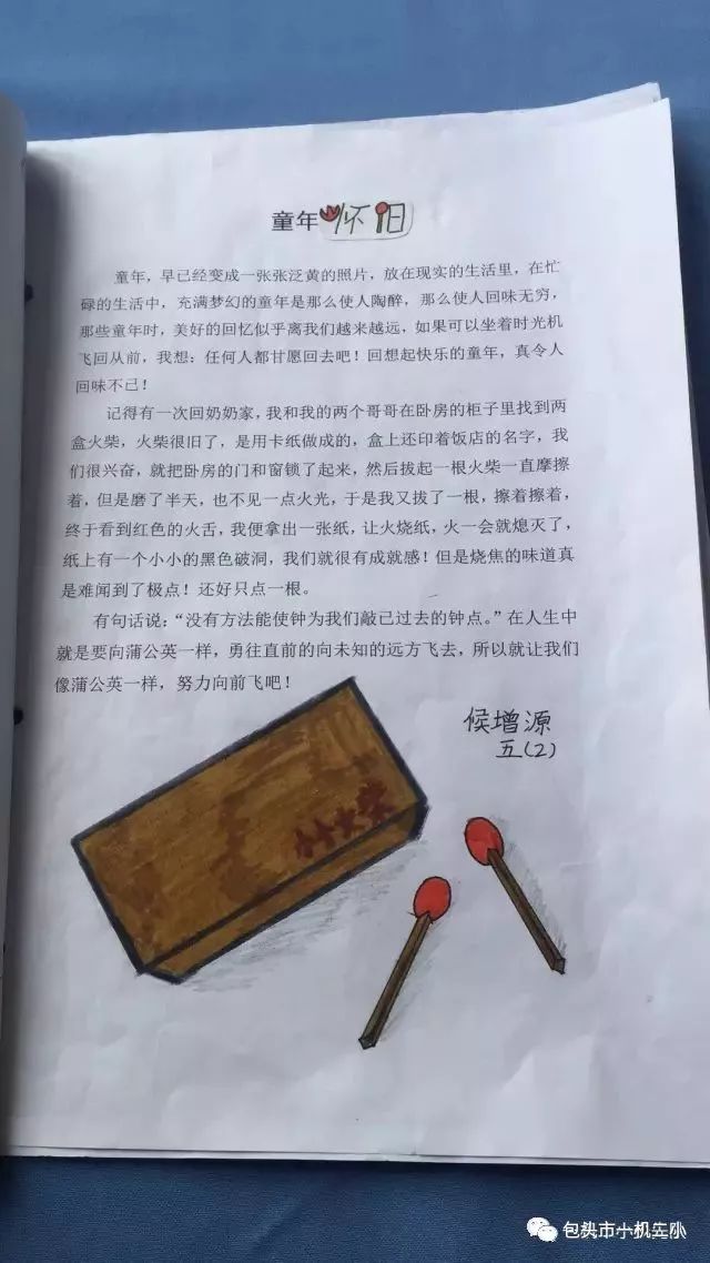 自然之旅，别开生面的游览活动体验