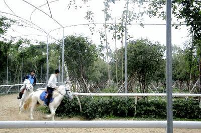 欧洲自费项目深度跟团体验之旅