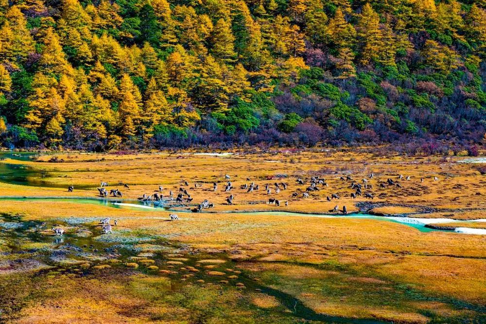 金秋十月旅游胜地探秘，绝佳景点推荐