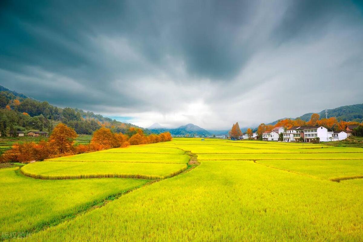 桂林山水甲天下，醉美之旅