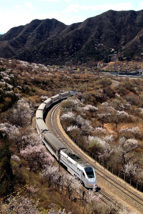 现代旅游活动的深度探索与体验之旅，性质与魅力