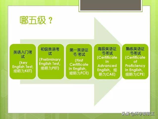 新澳门全年免费料,科学分析解析说明_苹果78.194