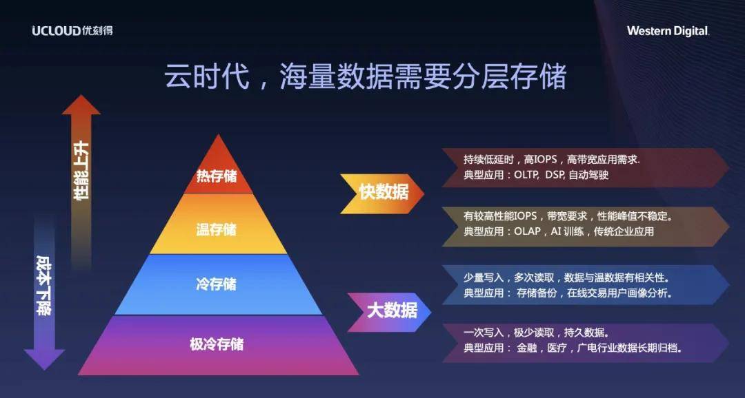 夜色中的猫 第4页