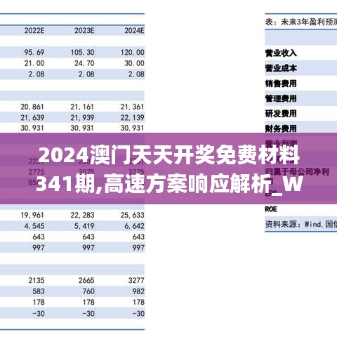 2024年正版免费天天开彩,高速解析响应方案_10DM79.700