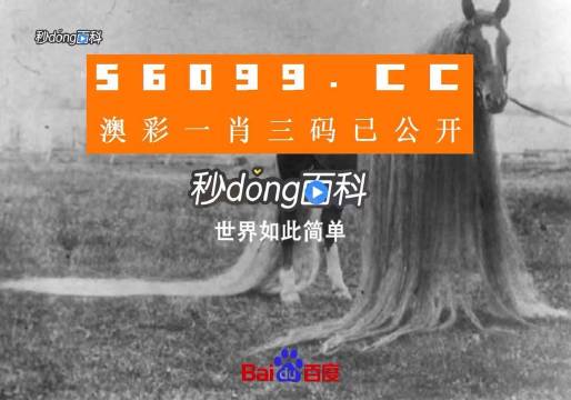 澳门必中一一肖一码服务内容,经典说明解析_DP44.209