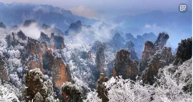 个性化旅行体验，定制化旅游服务案例解析