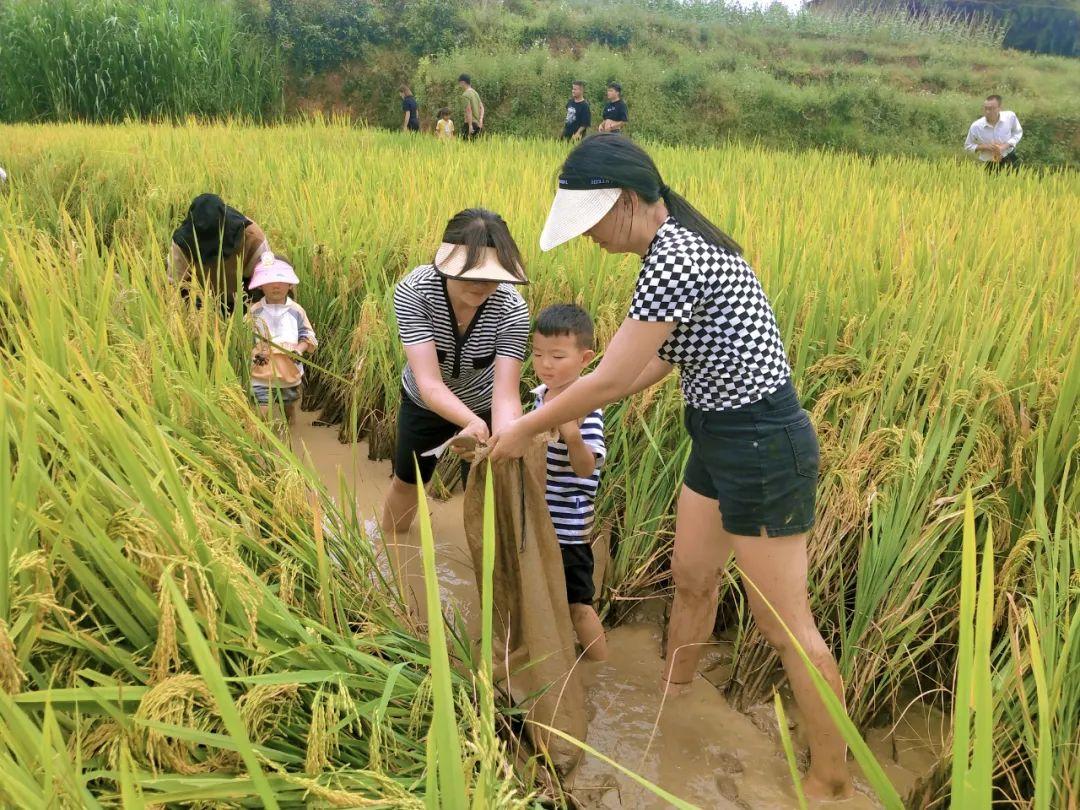 旅游目的地关键要素分析，提升游客体验与参与感策略探讨