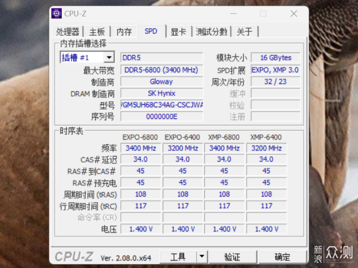 国产DDR5内存与长鑫存储DDR5颗粒生产展望，光威新品引领行业新风向？