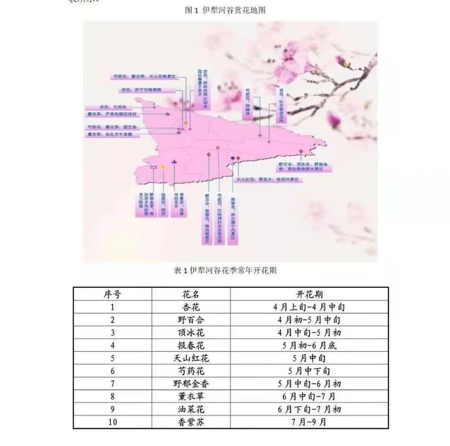 国际旅行线路攻略，一篇文章带你全面了解如何选择合适的线路