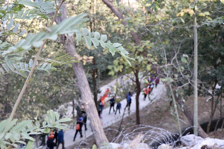 纪龙山旅行的奇妙探险之旅