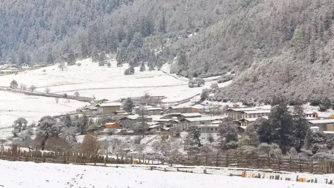 订机票优惠时间攻略，掌握最佳时机，享受航空旅行折扣