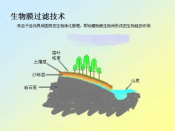 探究数字时代旅游变迁，在线旅游的非主要特征解析