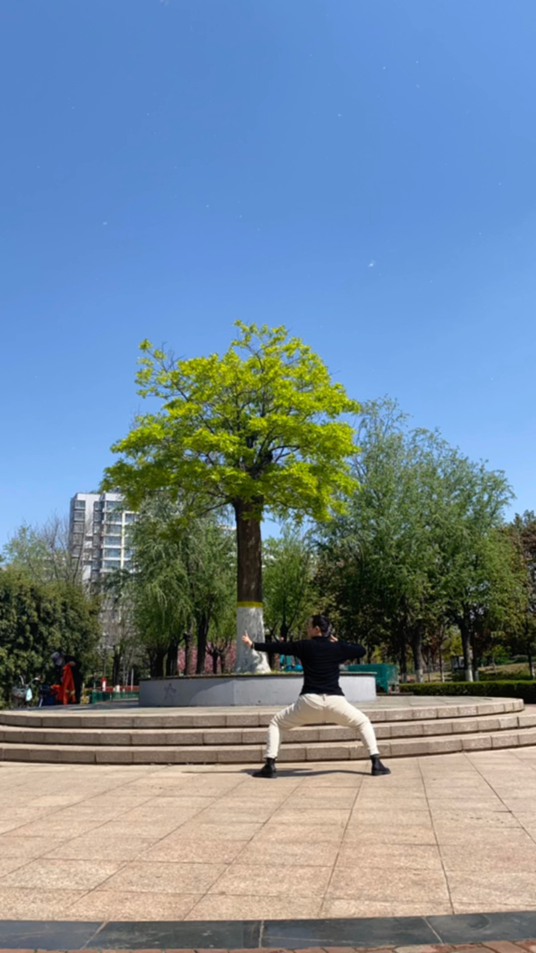 花花与小树的八段锦之旅，清晨的修炼之路