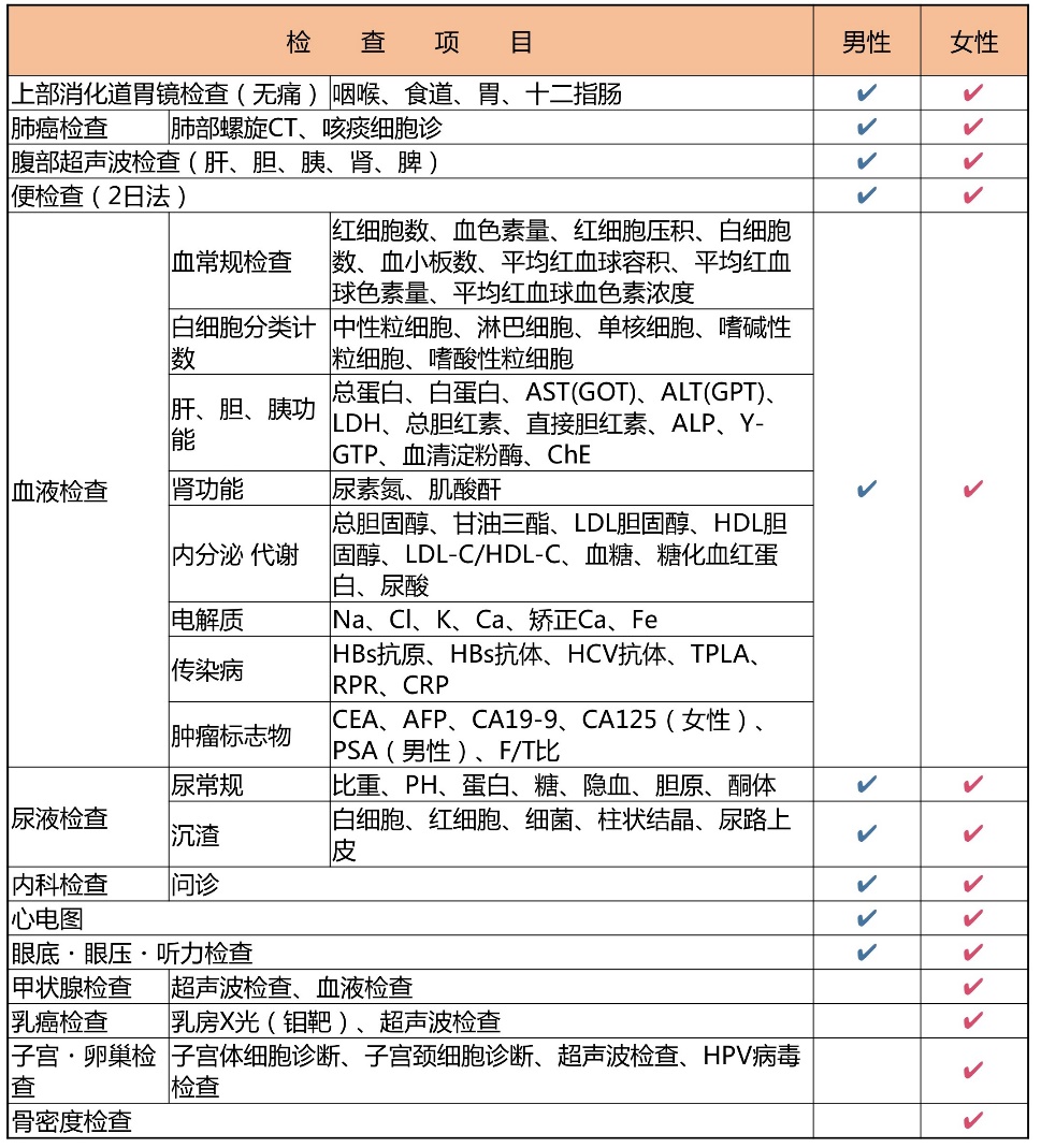 旅游计划制定方案图片大全，打造完美旅行攻略与体验