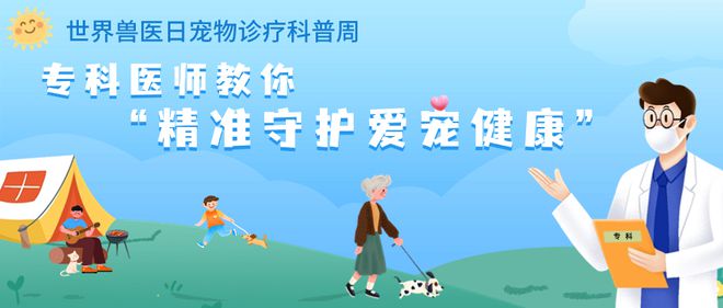 守护经期健康，科学护航女性健康之路