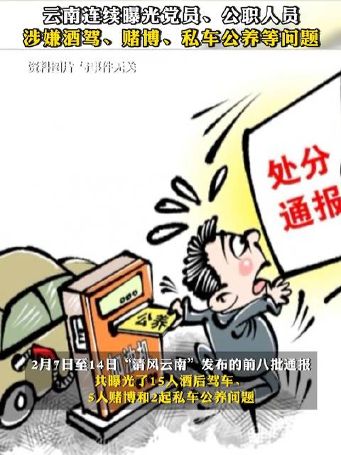 乘客拒付车费自称公职人员引发争议，公职与道德行为的反思