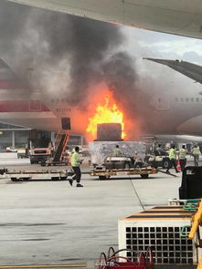 航空警钟再敲，韩客机碰撞起火前塔台发出警告