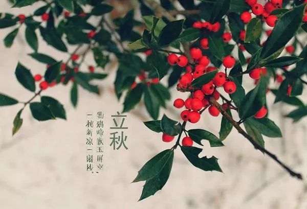 立秋，季节更替的韵律，生活的新篇章