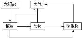 交换关系，连接人际的纽带之道