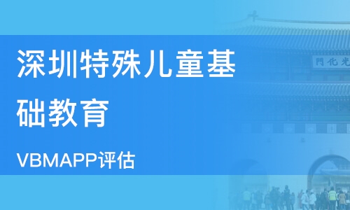 个性化教育深度探索，二对一特别辅导的实践与探索