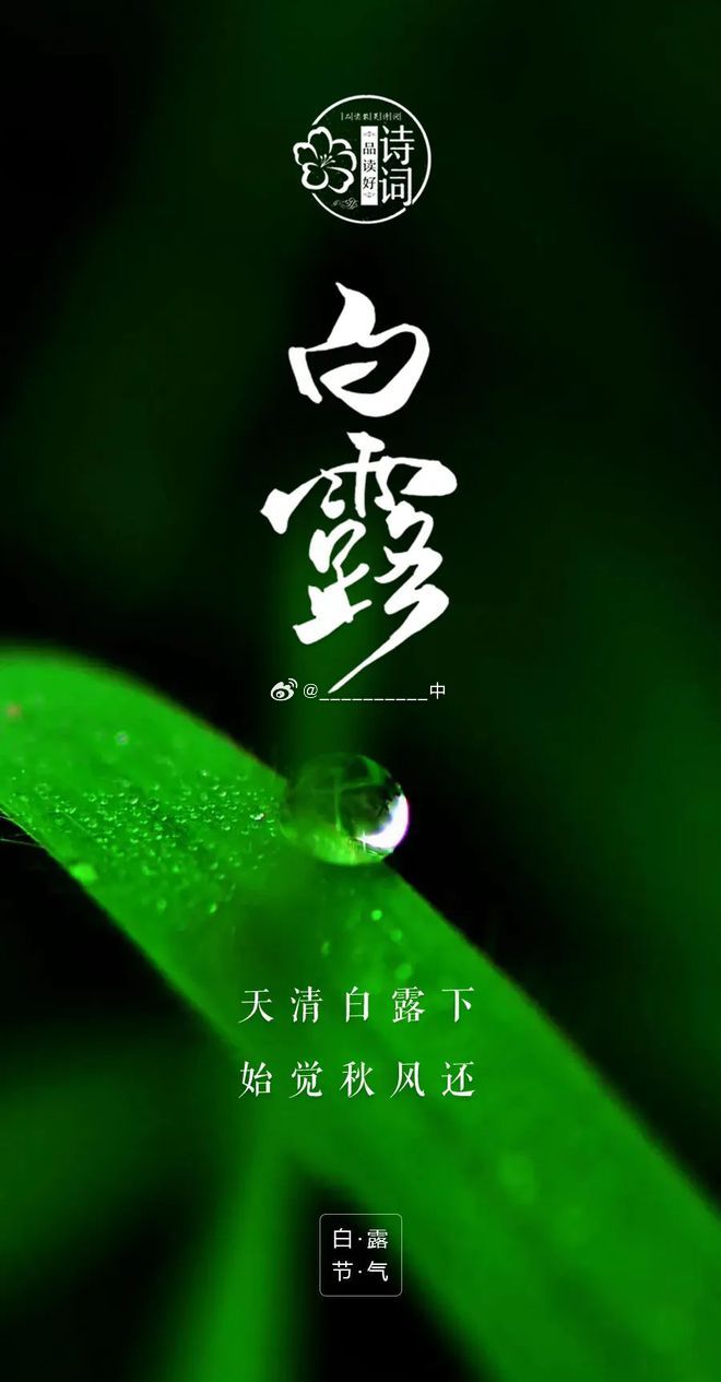 白露时节，秋意渐浓的韵味