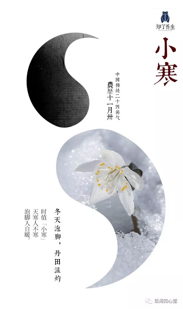 小寒时节暖意浓，暖场序幕开启