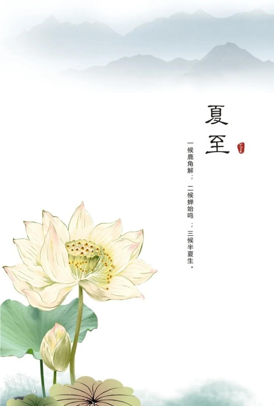 夏至，自然节奏与生活韵律的探寻