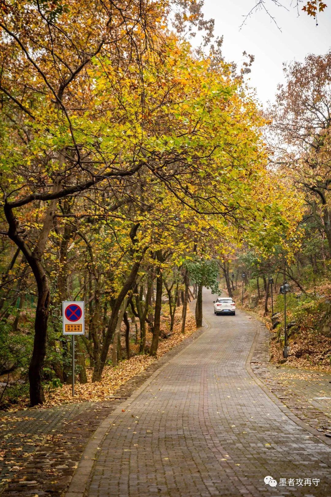 中国全境旅游路线规划，一站式畅游华夏大地之旅