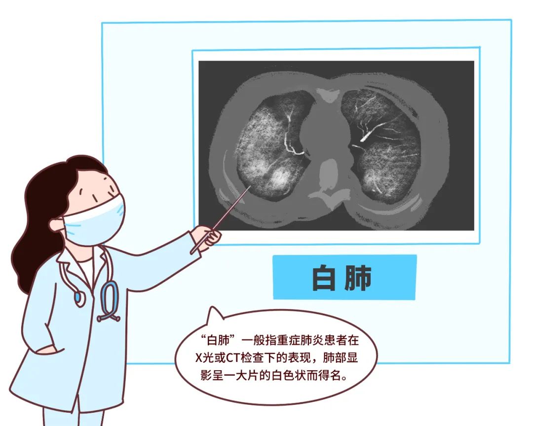 商务出行 第43页