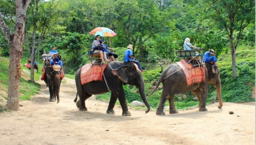 高品质旅行团，卓越旅行体验的核心要素