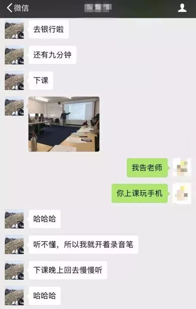 留学生朋友圈代发服务，领略异国风情，一条朋友圈仅需30元