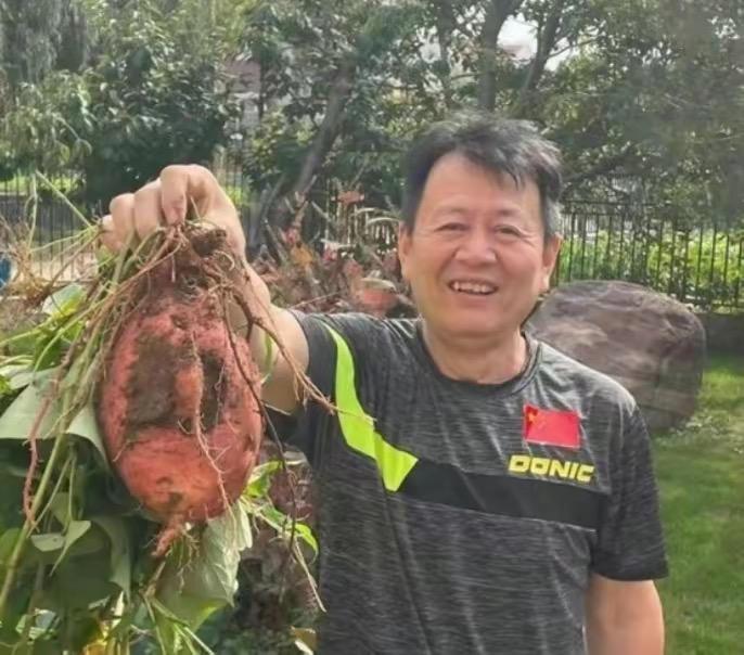 樊振东生日，吴敬平送上温馨祝福