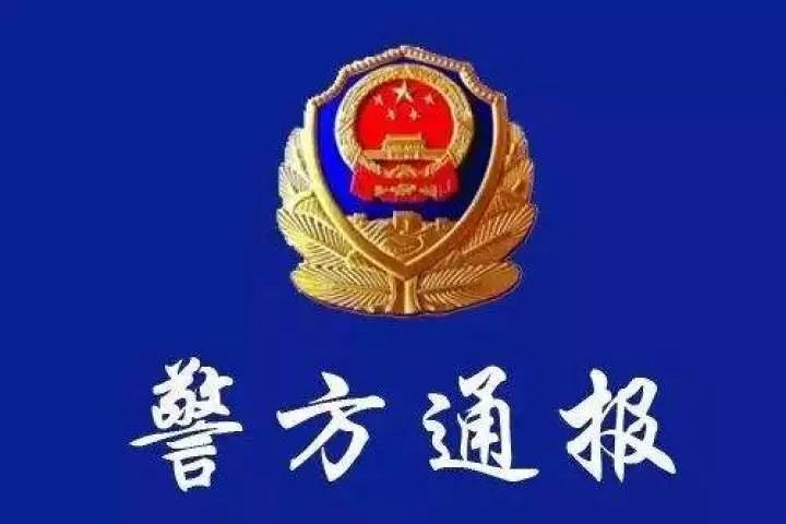 四只警犬点名批评，责任与纪律的警示