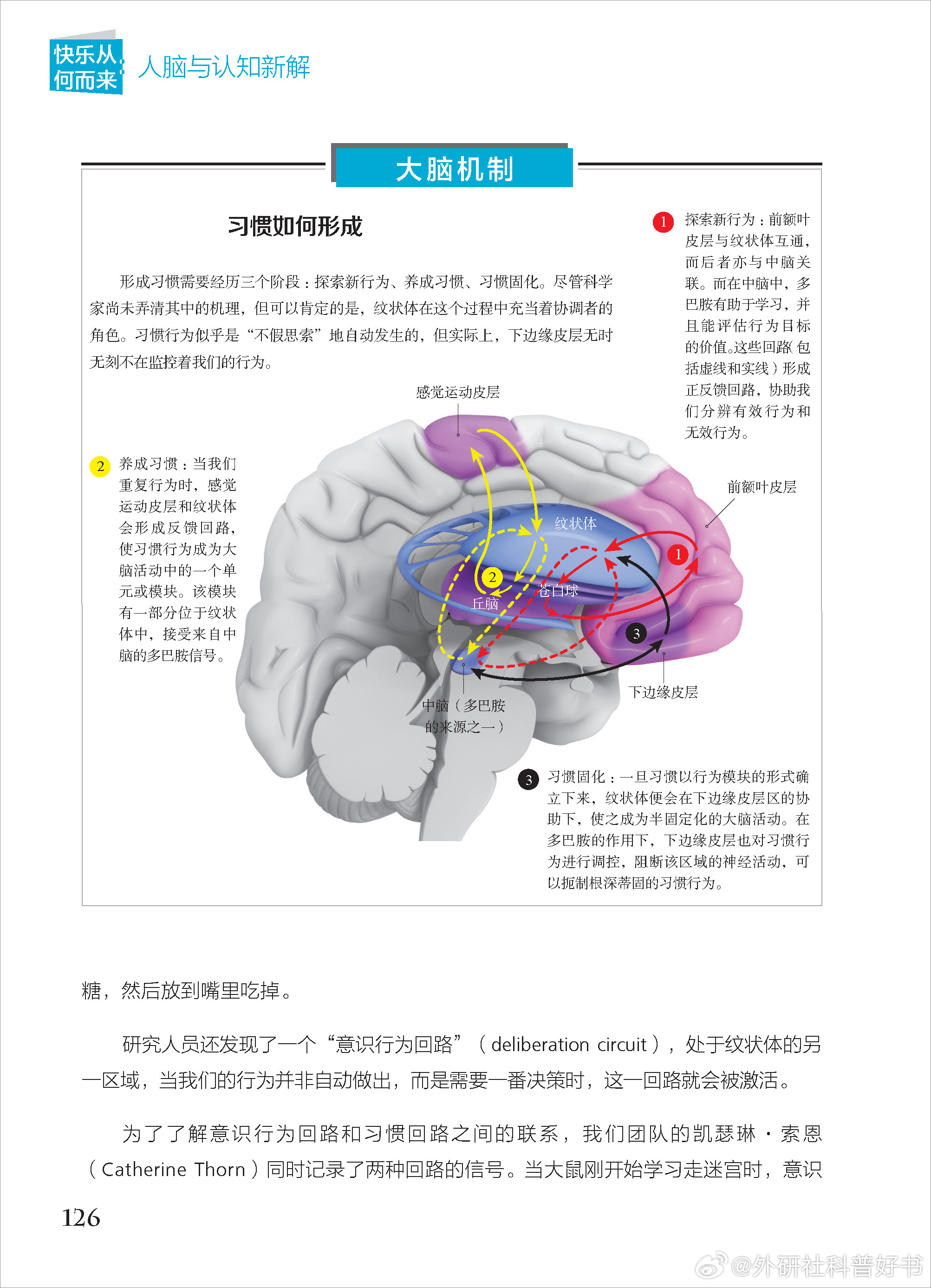 神经科学之旅，探索心智与宇宙奥秘的深度体验