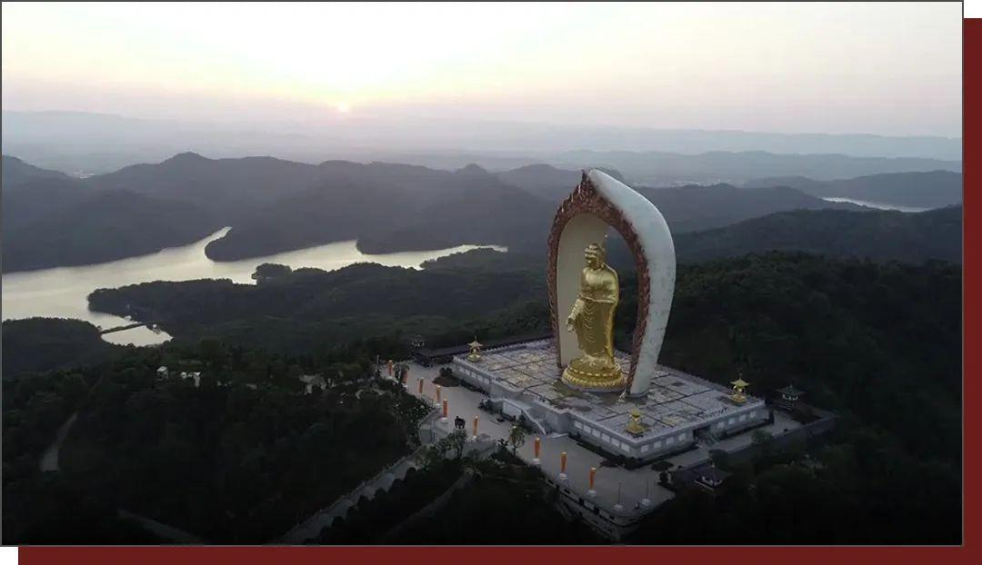 女子扒走乐山大佛祈福池钞票，事件引发社会热议