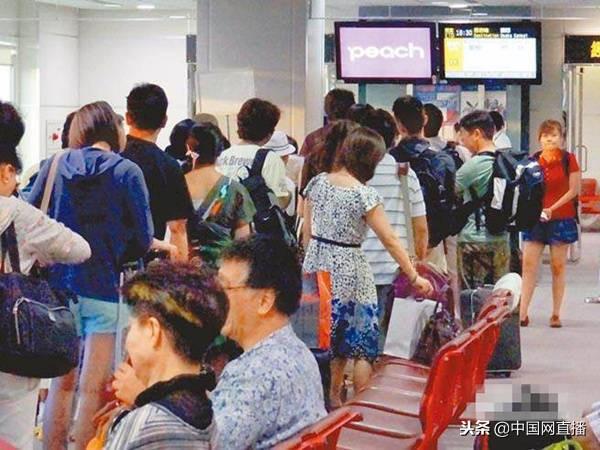 香港旅行团领队上海车祸身亡事件，事故背后的反思与教训