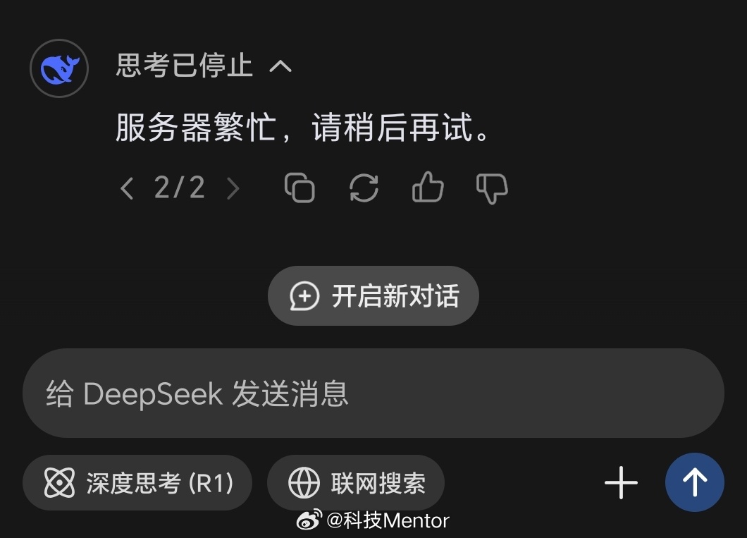 DeepSeek暂停API服务充值，原因探究与未来展望