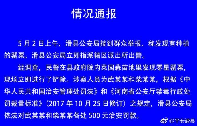 政府院内群众抱干部腿事件背后的深层含义与反思，官方通报引发关注与反思