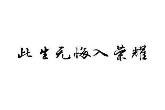 此生无悔的誓言，追寻人生价值的坚定信仰