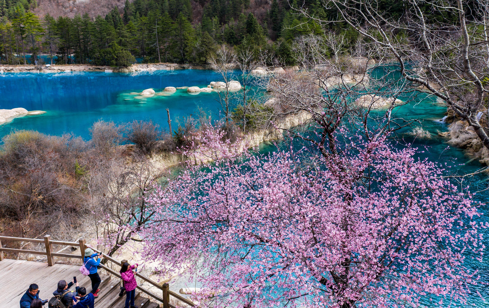 九寨沟景区推出优惠政策，四十岁以上游客免门票，开启深度旅游新篇章的大门